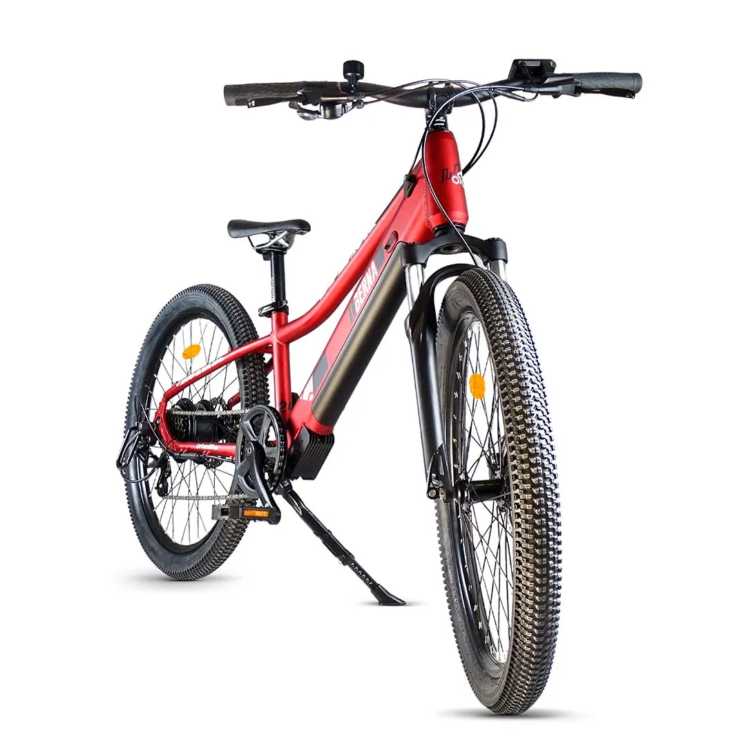 UrbanBiker Berna 2
