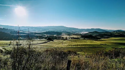 Guesálaz