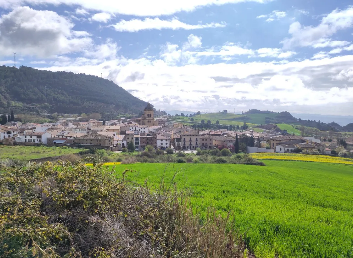 Mañeru