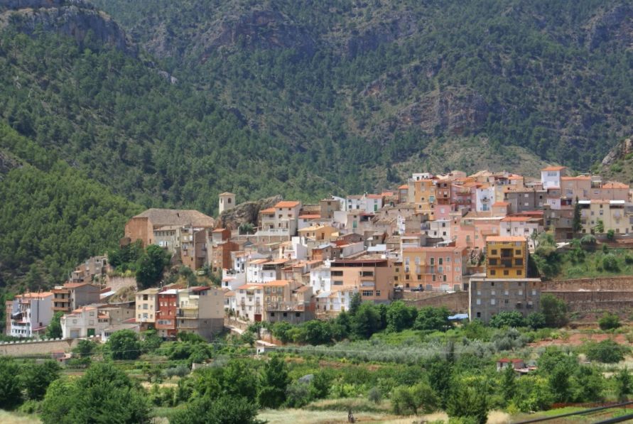 Bogarra