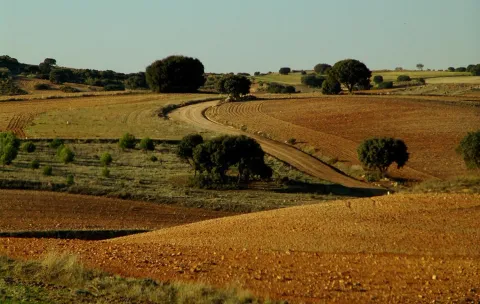 Carabaña