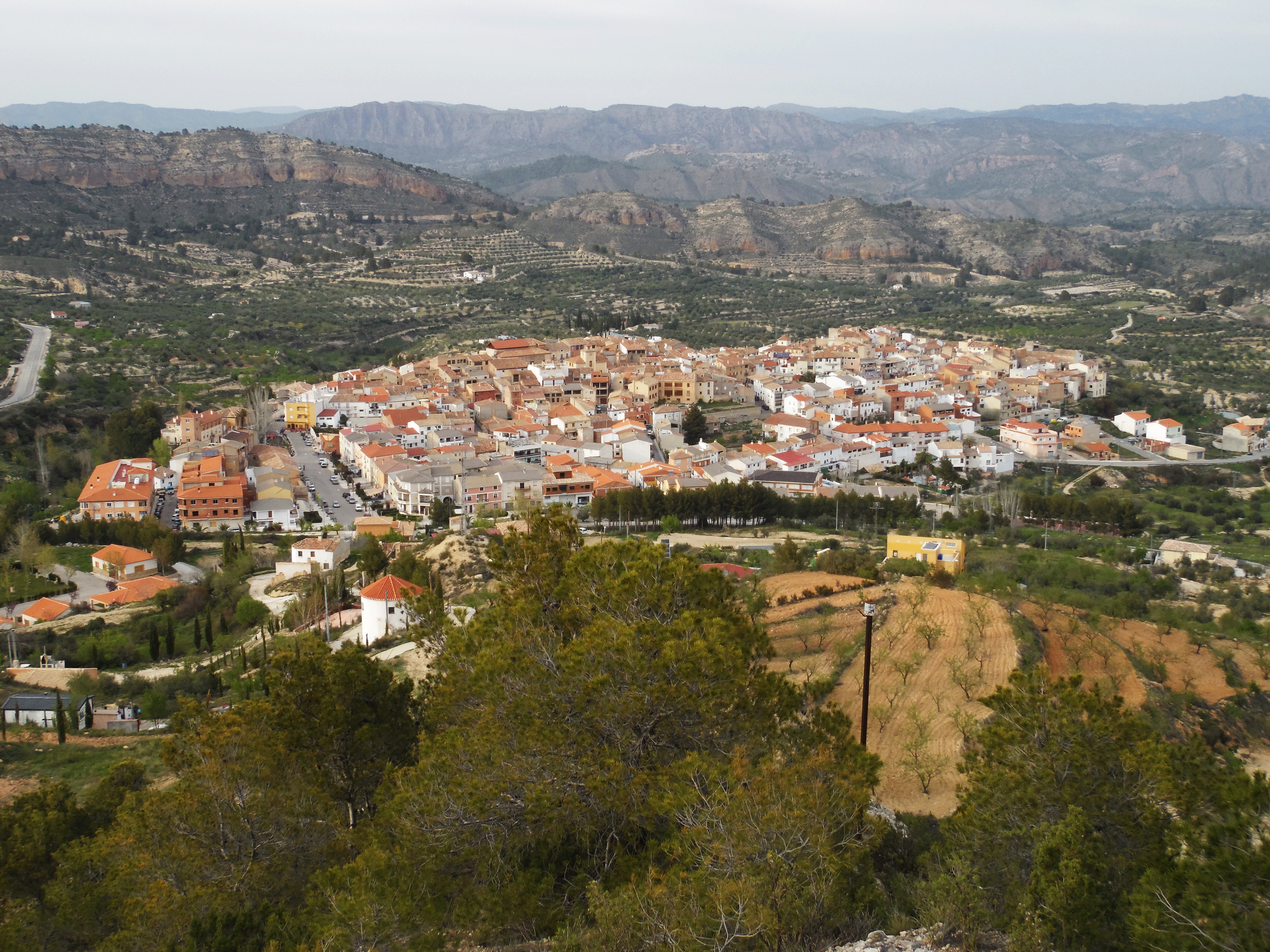Férez