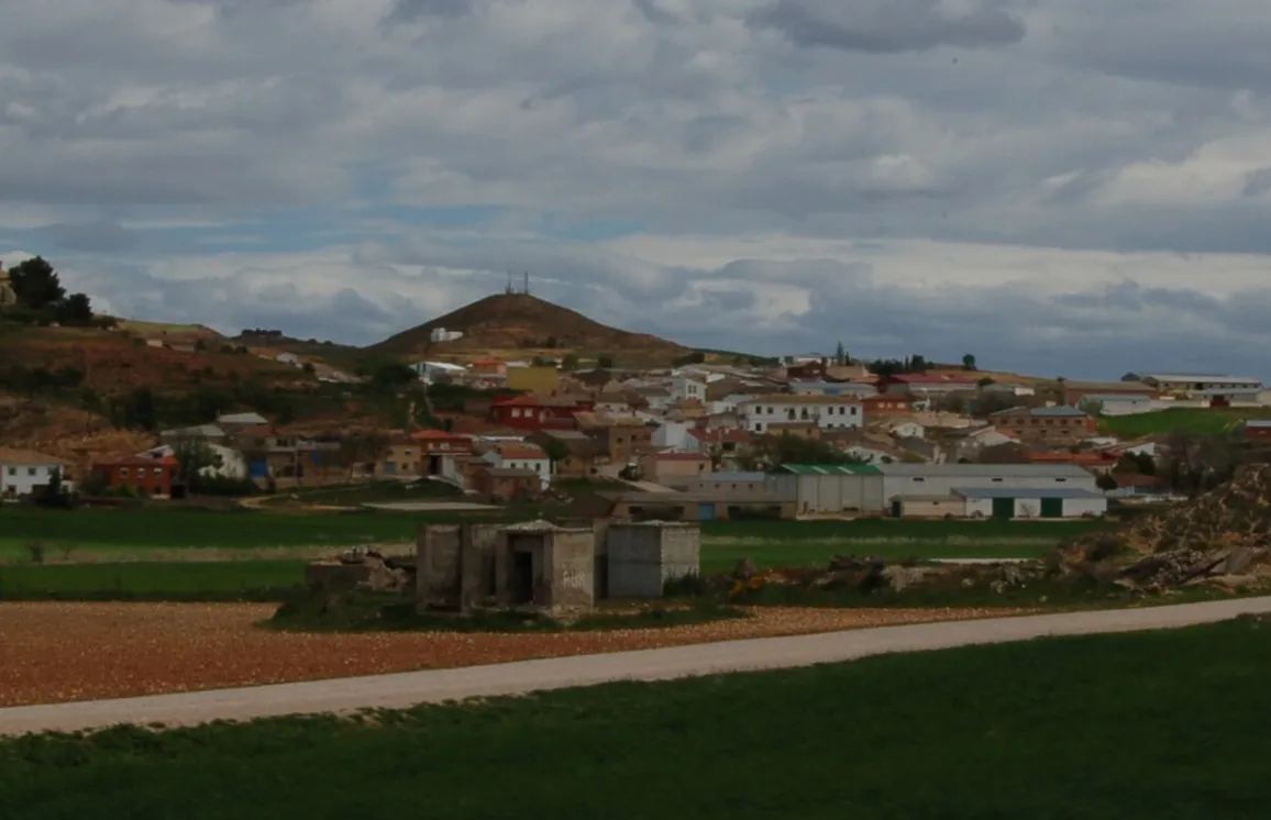Belmontejo