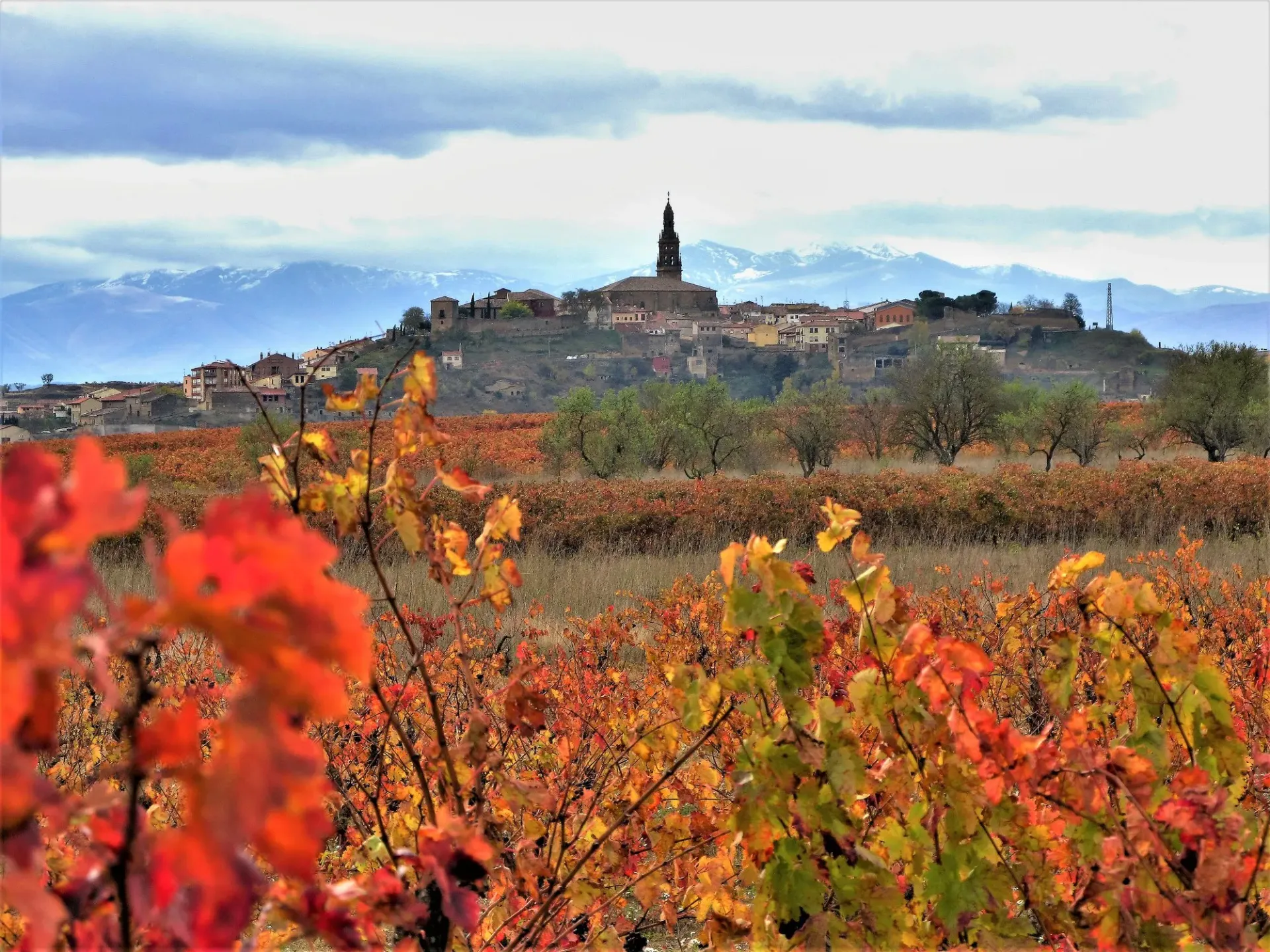 Briones