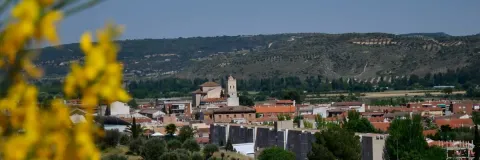 Morata de Tajuña