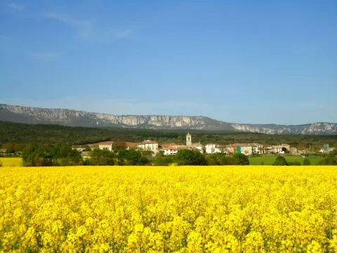 Zúñiga
