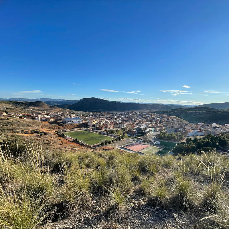 Elche de la Sierra