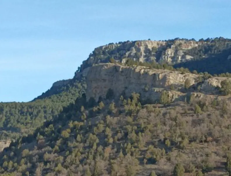 El Chaparral Bajo