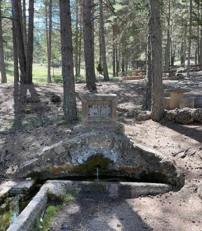 Fuente de la Miel