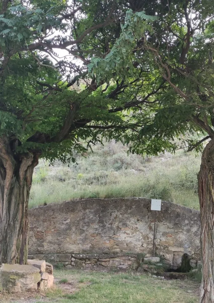 Fuente de Po