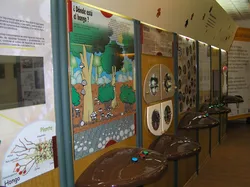 Museo Micológico “La Casa del Níscalo”