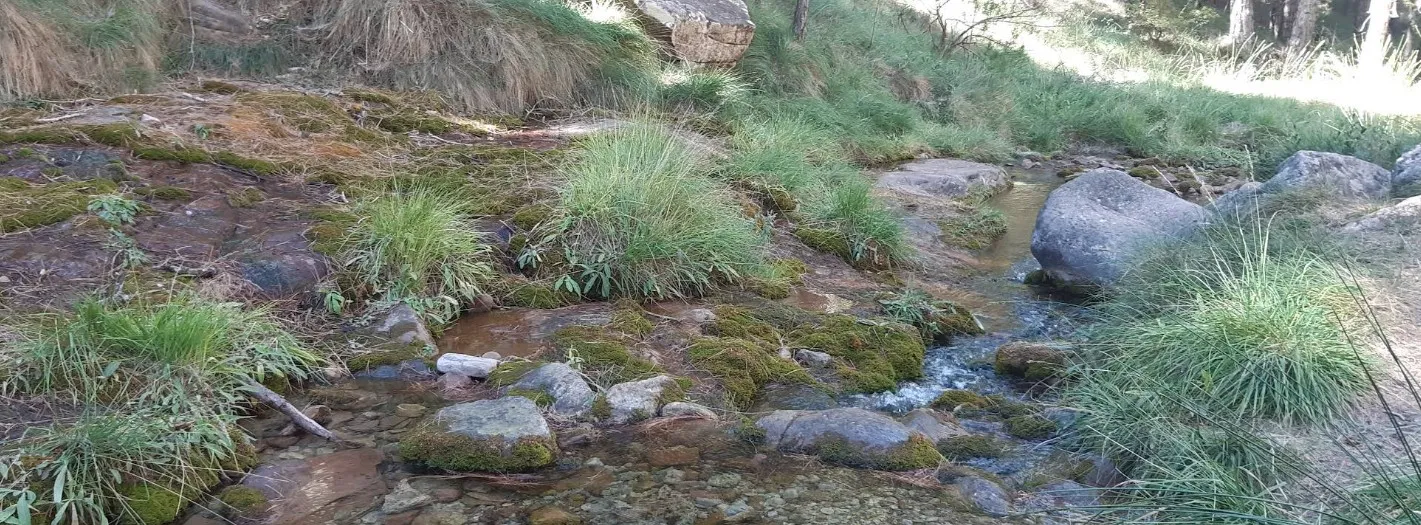 Nacimiento del río Eva