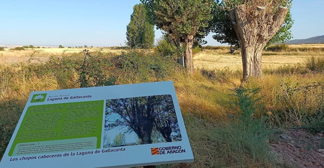 Fuente de los Haces
