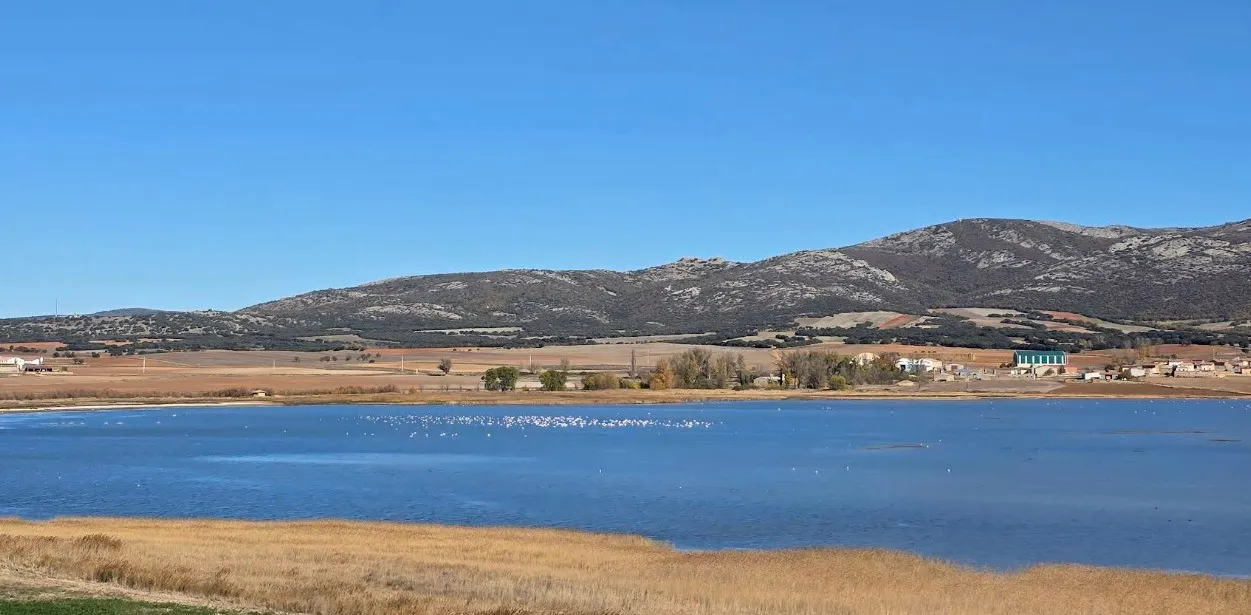 Reserva Natural Dirigida de la Laguna de Gallocanta