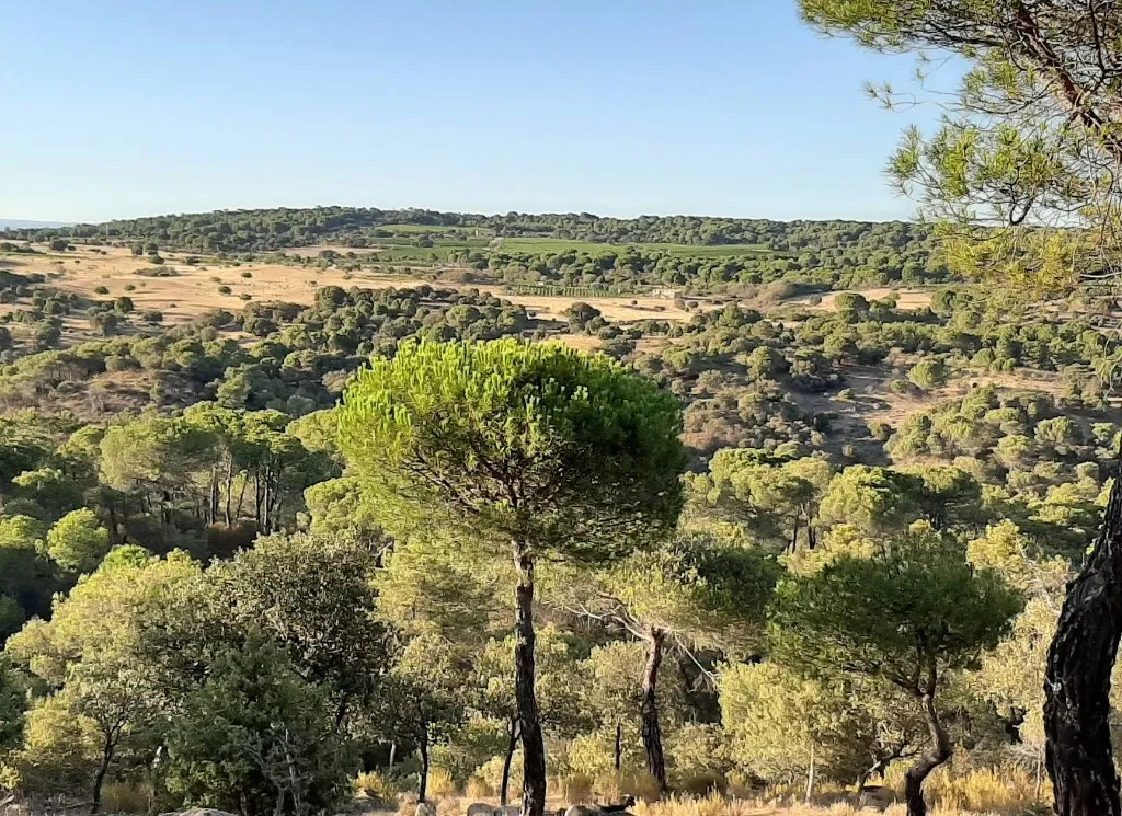Monte de la Encomienda