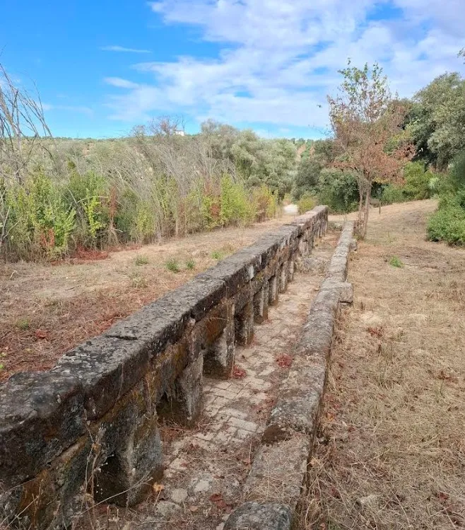 Abere medievala