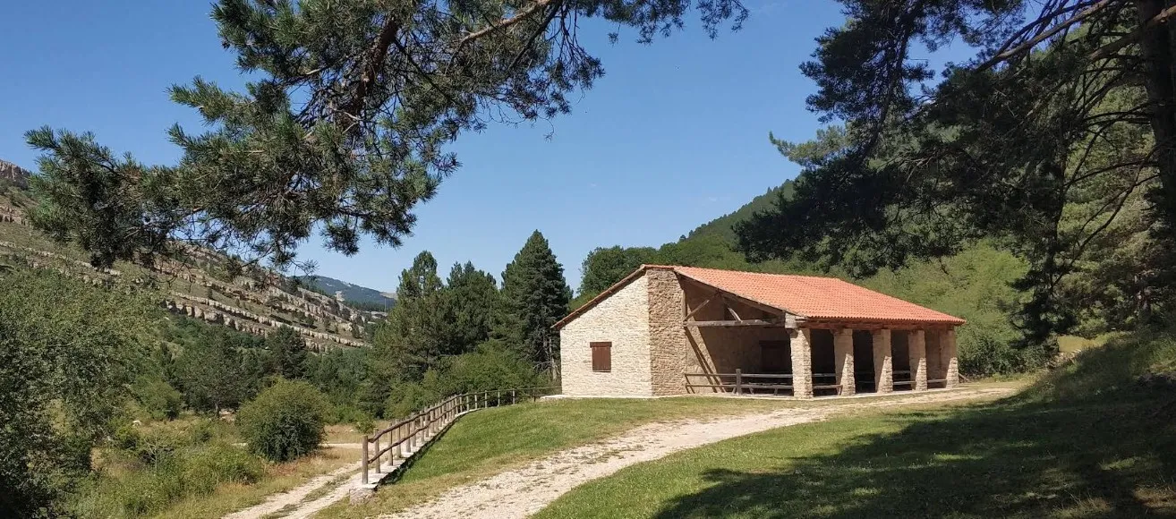 10-Campamento