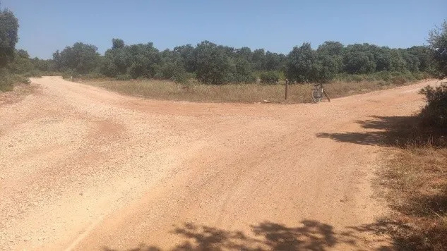 Cordel de las Merinas