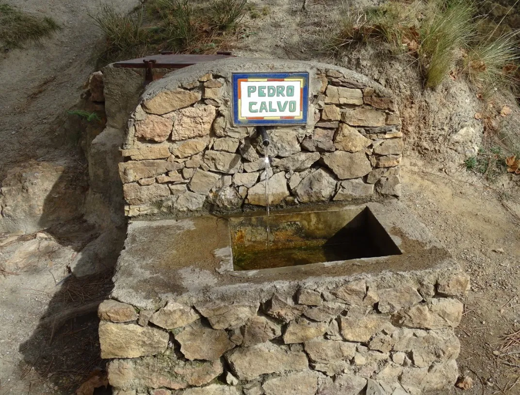 Font de Pedro Calvo
