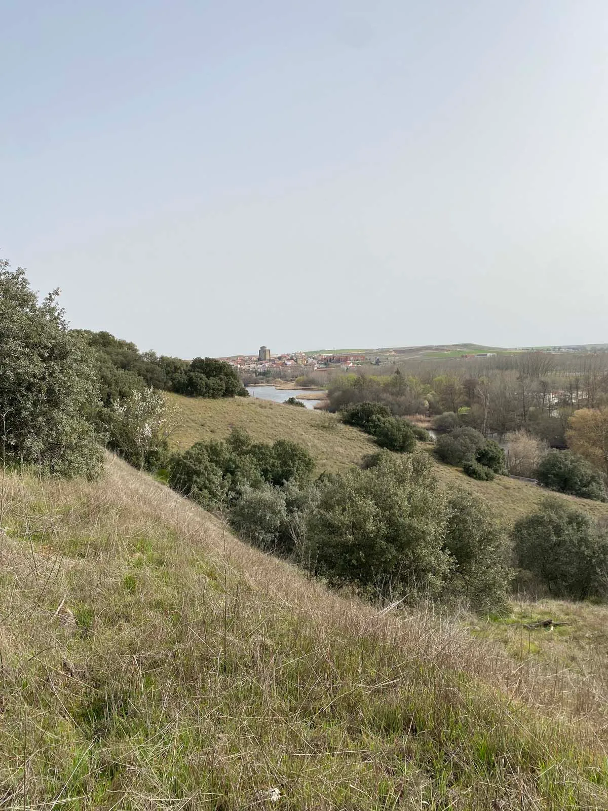 Mirador de Alba
