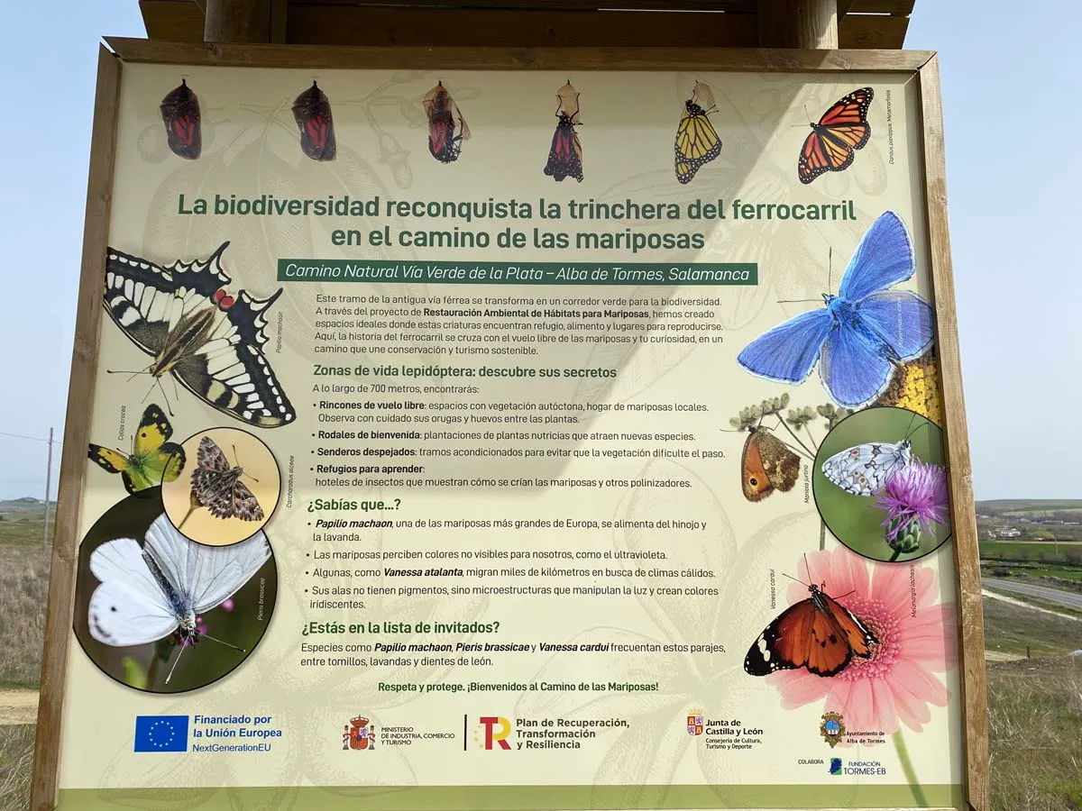Panel informativo mariposas