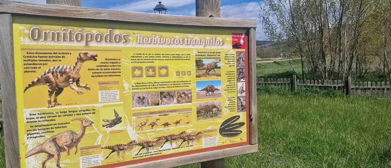 Parque Cretácico De Aventura San Pedro Manrique