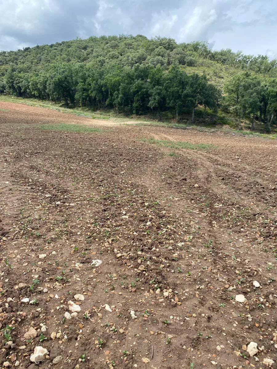 Seguir las rodadas de tractor