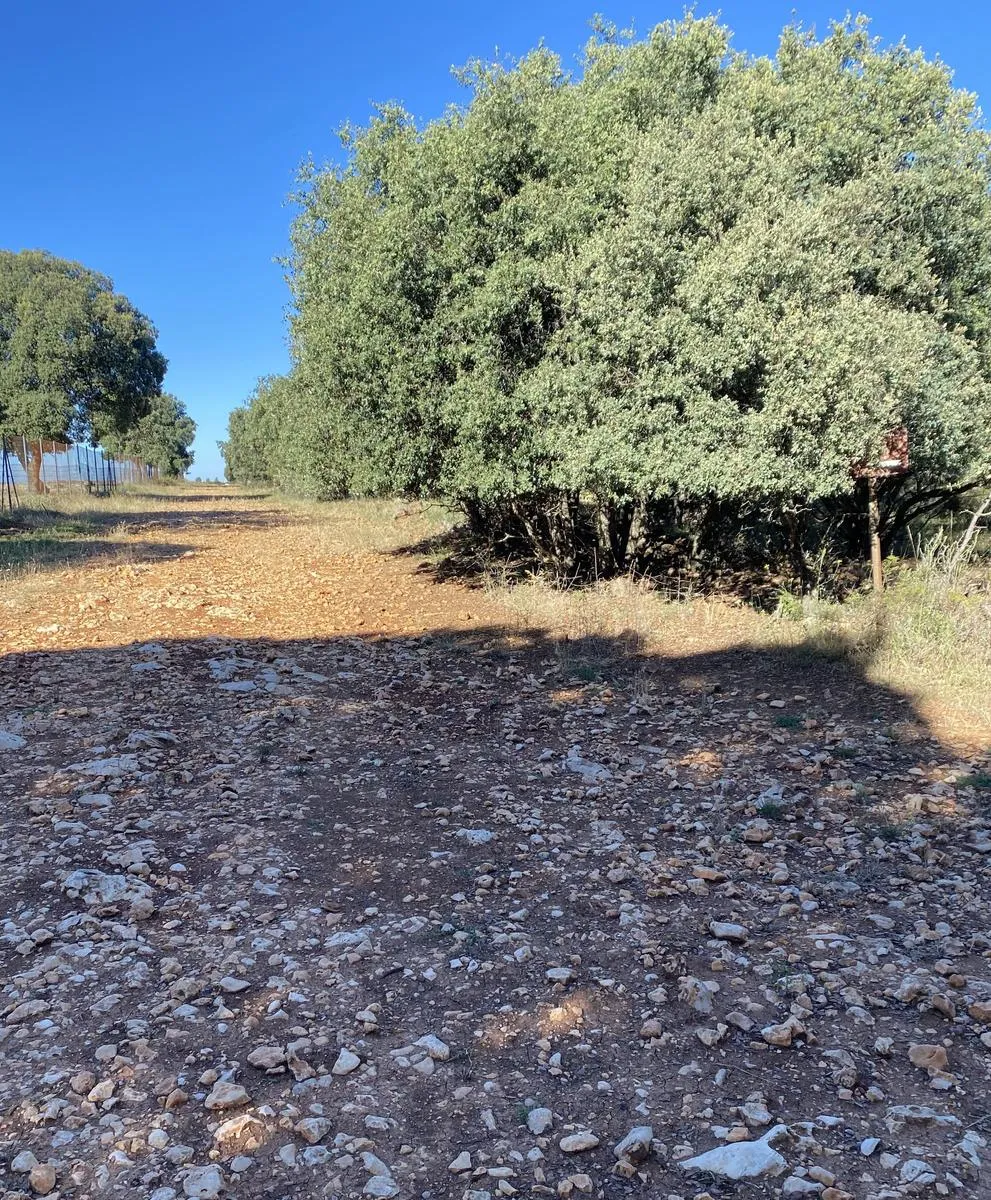 Tramo de camino con piedras