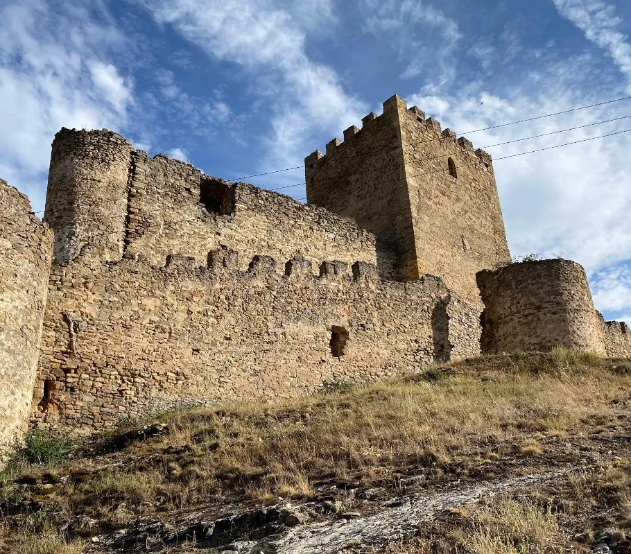 Castillo de Magaña o de la Nava del Marqués