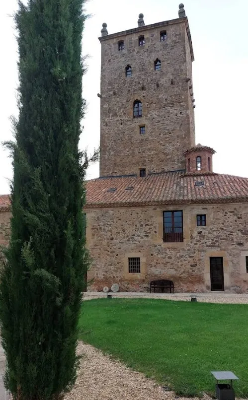 Castillo-Palacio de Aldeaseñor