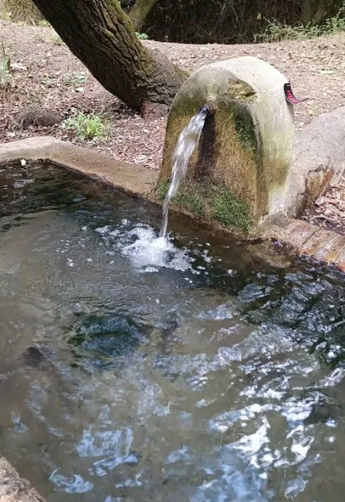 Fuente del arco