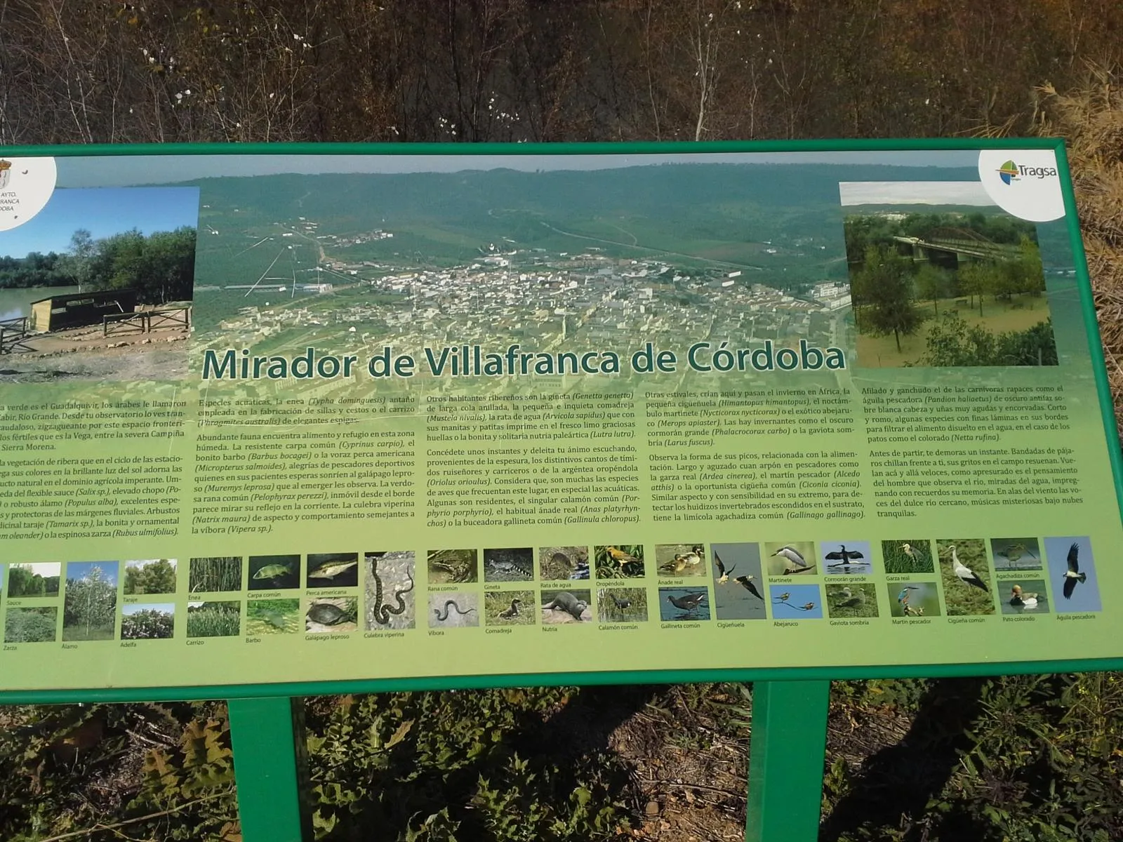 Mirador de les Aves