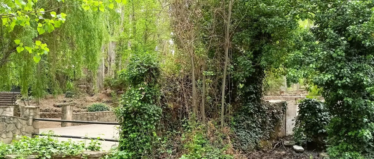 Paraje de La Escaleruela.