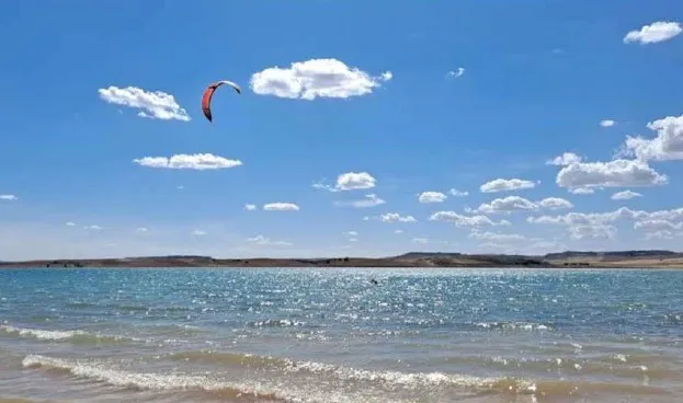 Playa del árbol