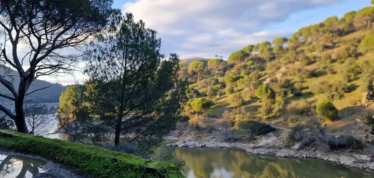 Presa de Picadas
