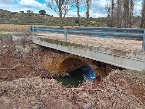 Puente Romano