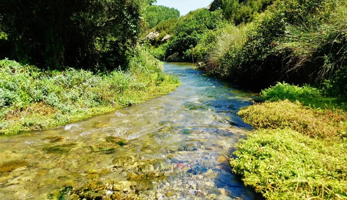 Zona de Baño de La Escaleruela.