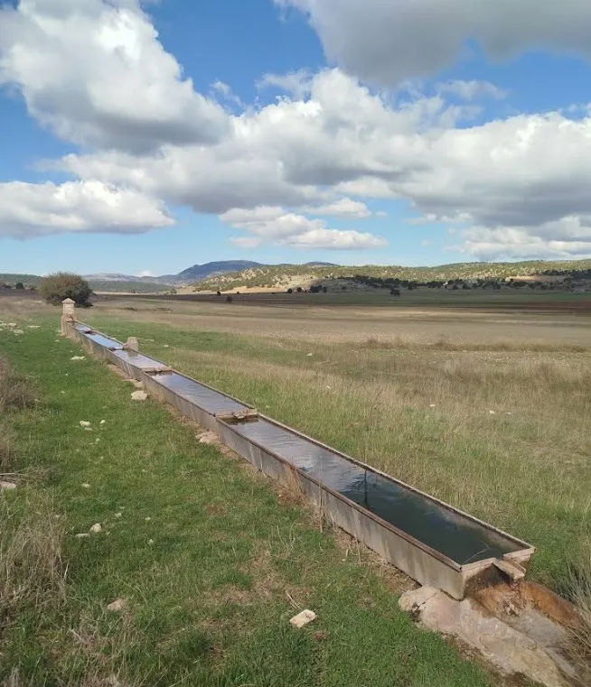 Fuente y abrevadero