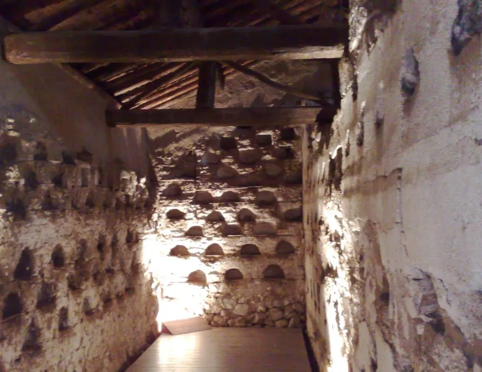 Palomar de Santa Teresa