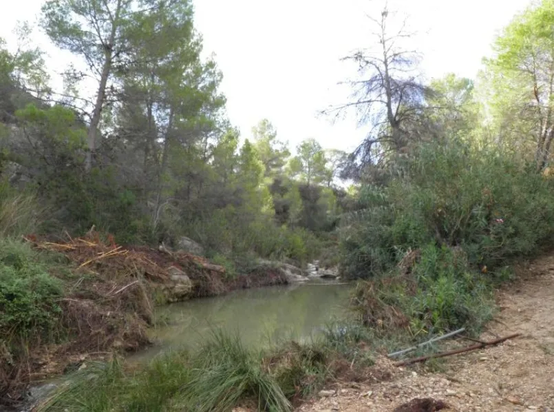 Paseo de la Mora / Arco de la Mora