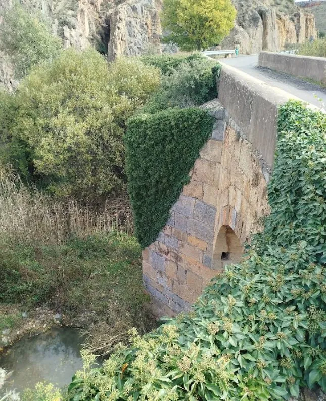 Puente Viejo