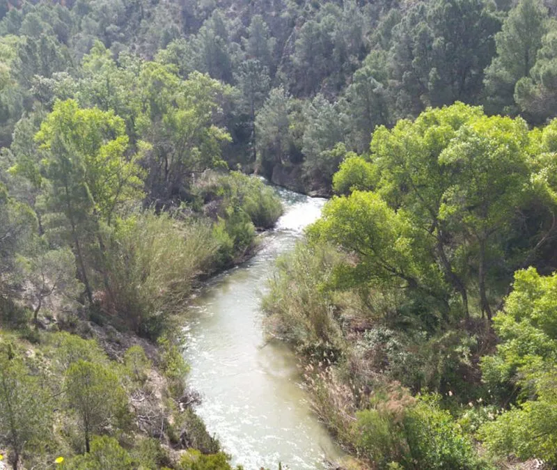 Rio Segura – Trecho de Vicorto