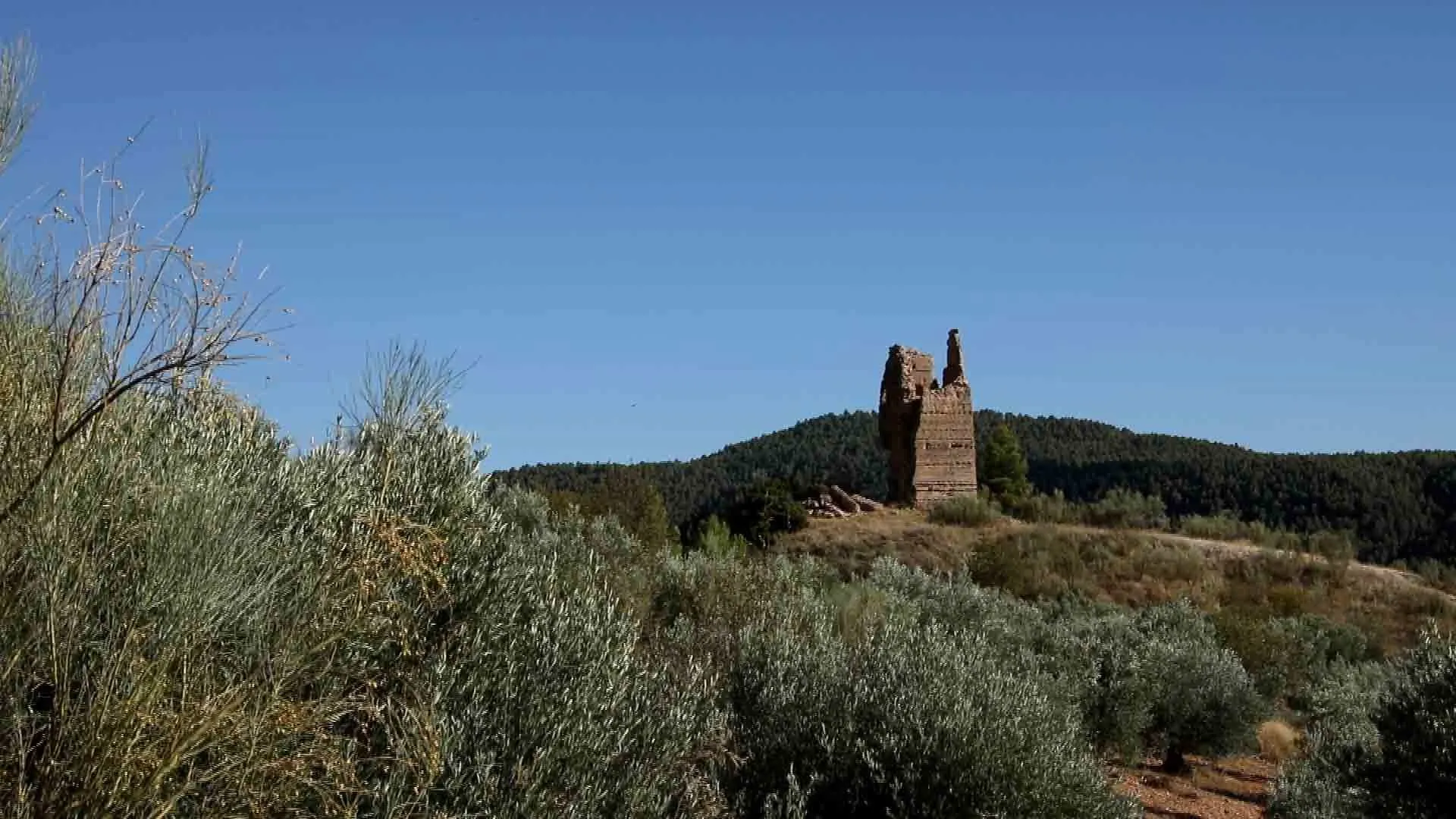 Torre de Haches