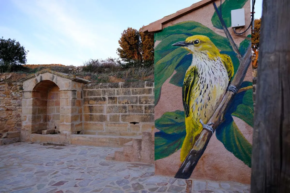 Rota Lienços de Natureza (Gallocanta + Santed + Berrueco) - Imagem 2