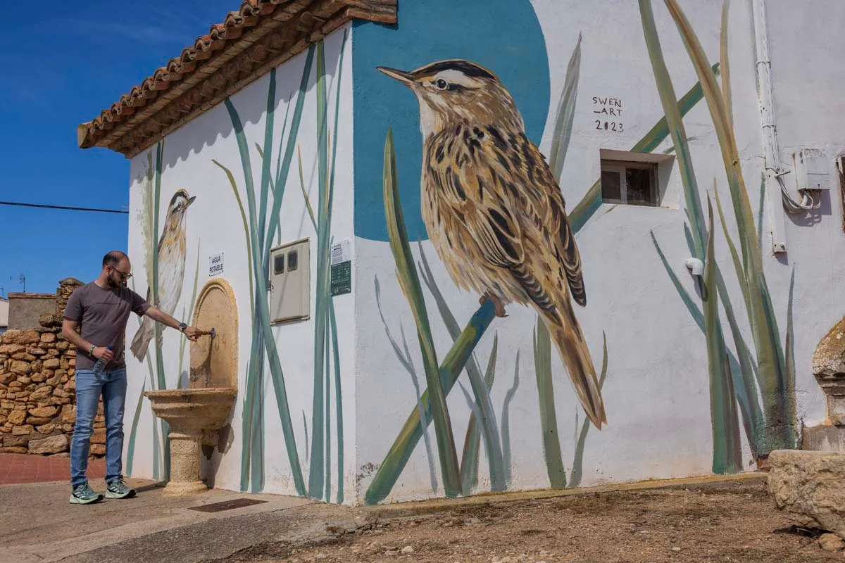 Rota Lienços de Natureza (Gallocanta + Santed + Berrueco) - Imagem 3