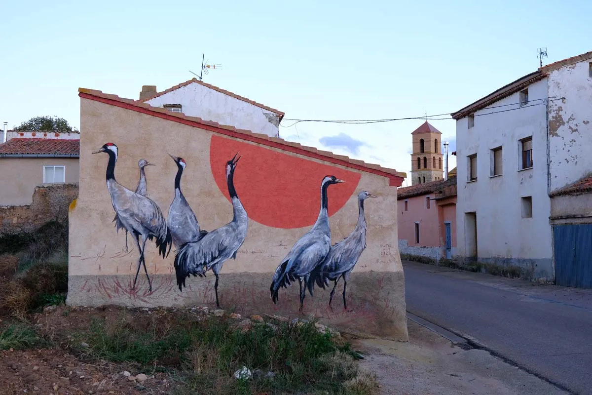 Ruta Lienzos de Naturaleza (Gallocanta + Berrueco + Las Cuerlas)