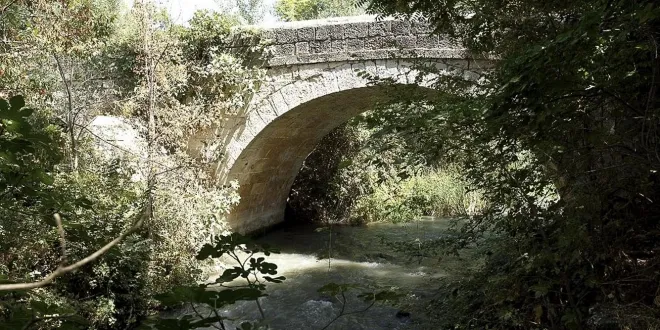 Ruta Valdilecha - Tielmes - Vía Verde del Tajuña - Imagen 2