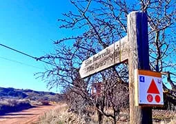 Ruta Aguallueve desde Daroca - Imagen 3