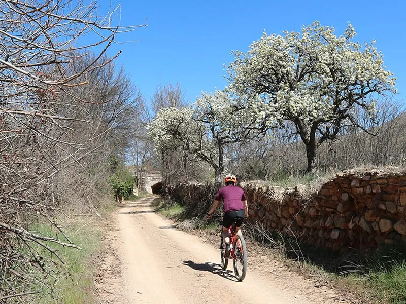 Ruta Daroca San Julián