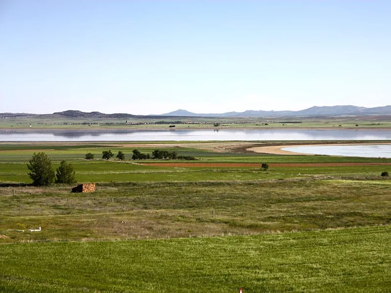 Ruta las Grullas - Gallocanta - Imagen 2